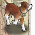 Owney looks for the World's Fair