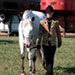 Girl Walks Pony